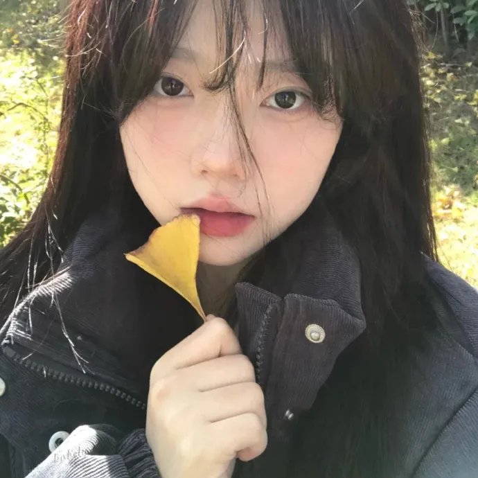 犬心犬意